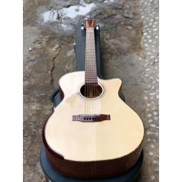 Guitar Custom  M25V 